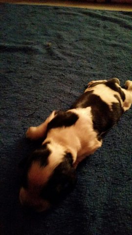 Erste Bilder Feb 2017