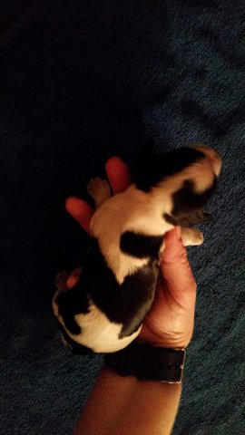 Erste Bilder Feb 2017