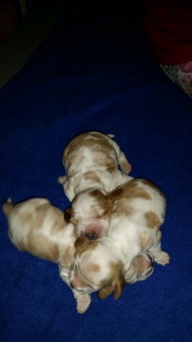 Erste Bilder Feb 2017